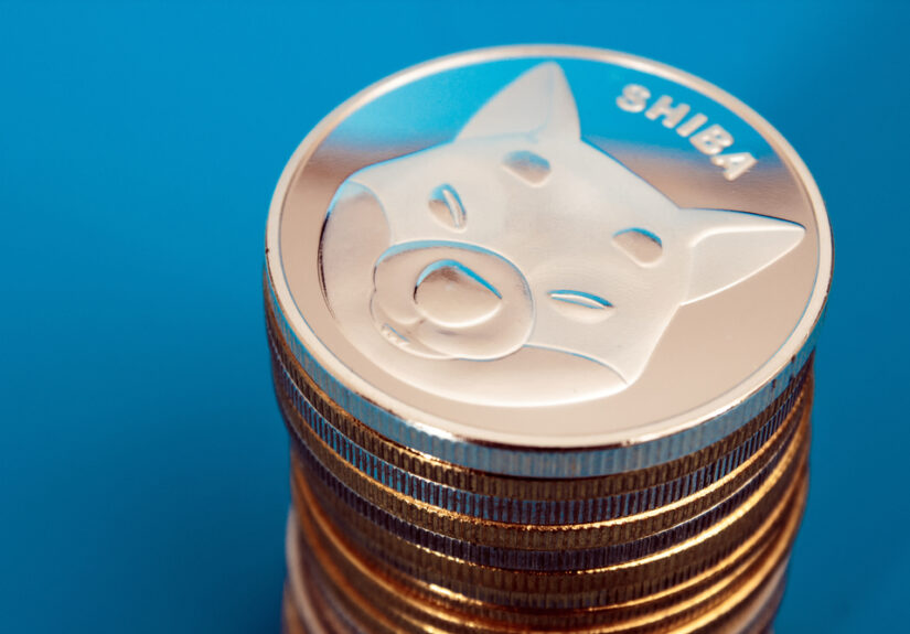 While Shiba Inu Experiences A 6% Drop, A New Meme Coin Is Ready To Shine