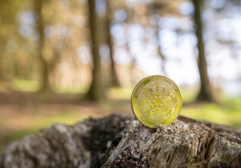 Cardano (ADA) Nears Stable Support, Providing Lucrative Buy Opportunity