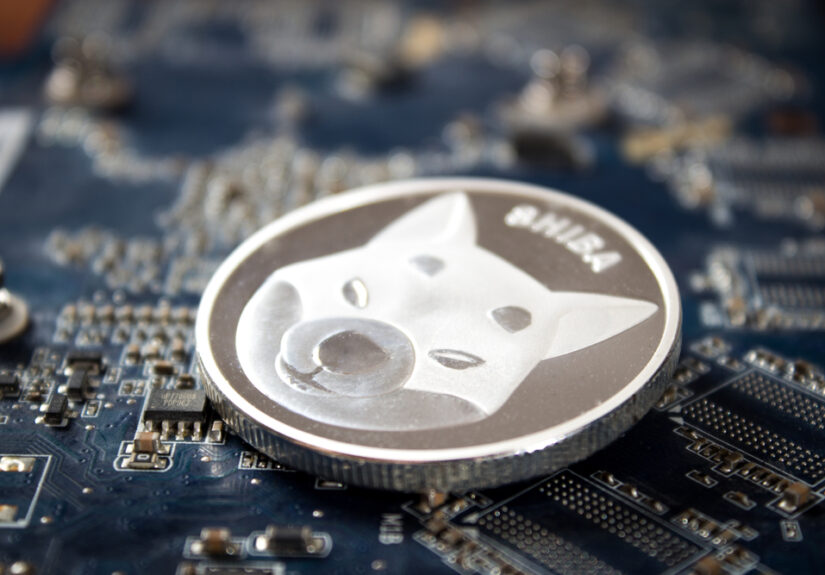 Shiba Inu (SHIB): Holding This Support Level May Trigger Upswings