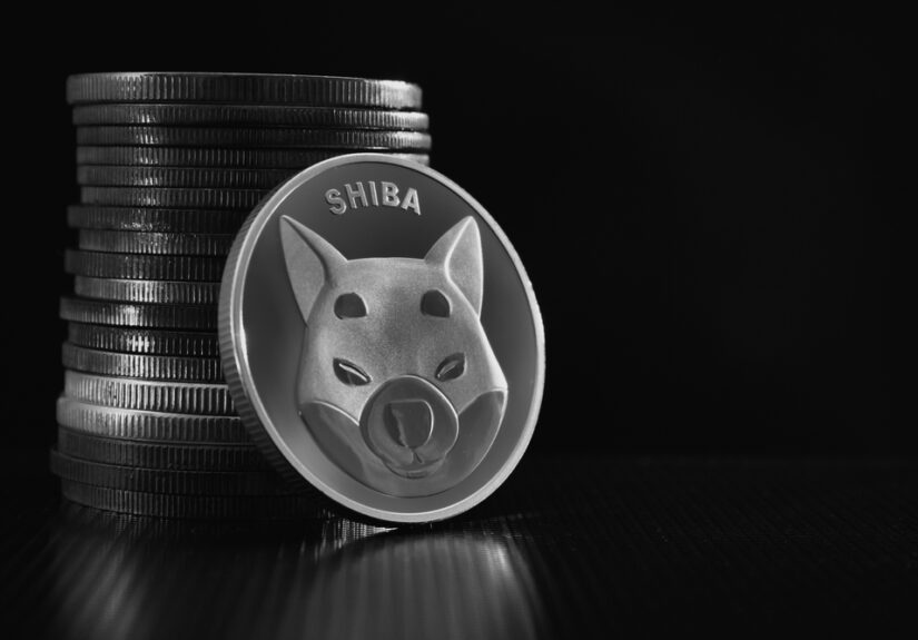 Shiba Inu (SHIB) Filters Bullish Signals from Russia-Ukraine Talks, Eyeing $0.000024 Return
